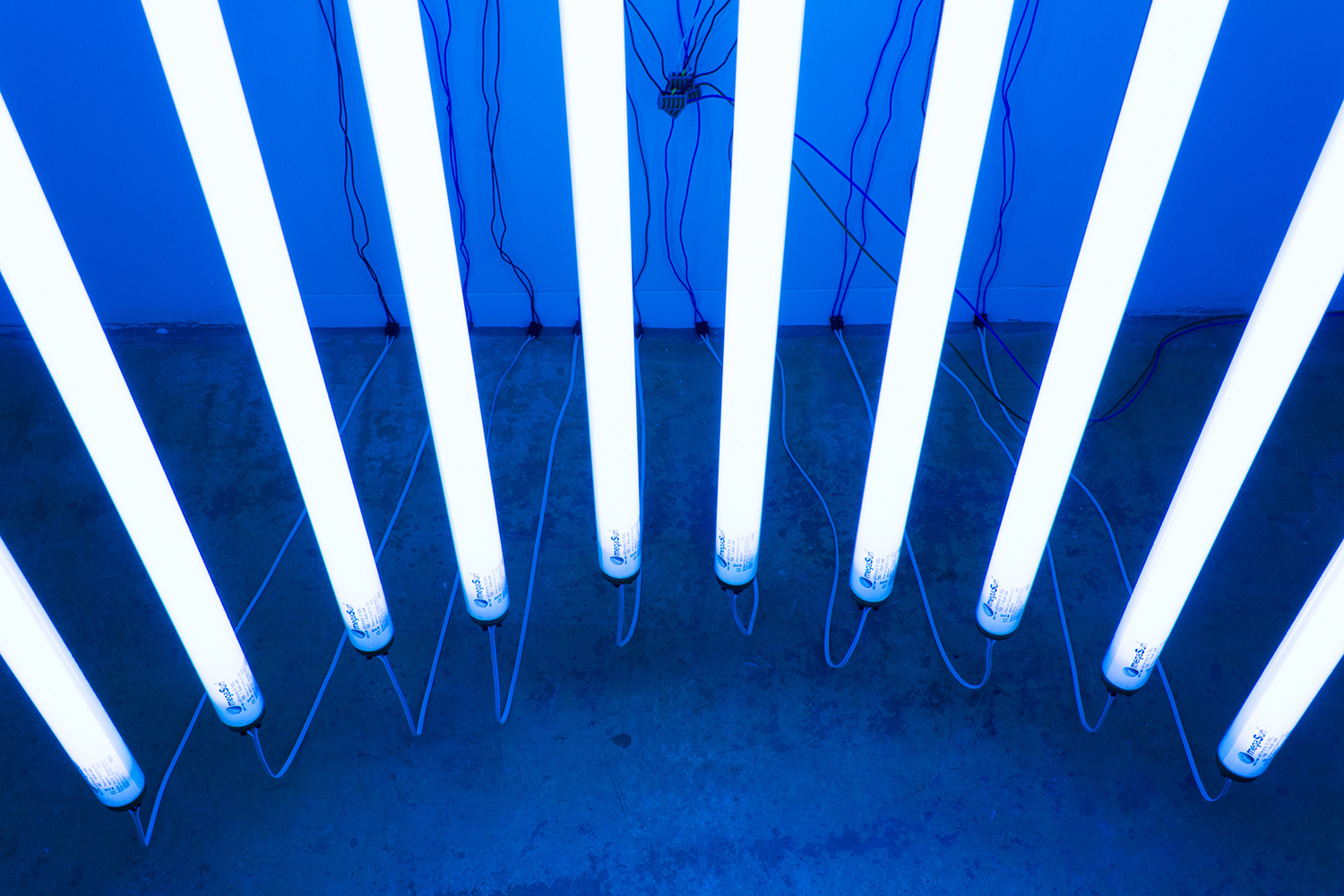 Get Your Ten On - Michael Niemetz - light installation - seen at Gallery Charim Events 2016